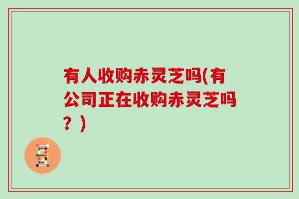 有人收购赤灵芝吗(有公司正在收购赤灵芝吗？)