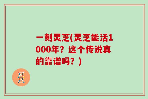 一刻灵芝(灵芝能活1000年？这个传说真的靠谱吗？)