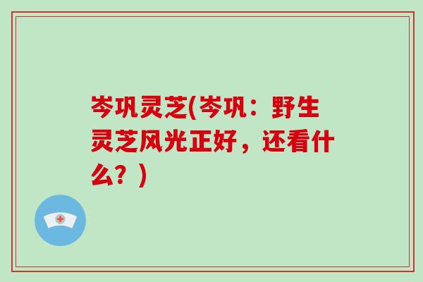 岑巩灵芝(岑巩：野生灵芝风光正好，还看什么？)