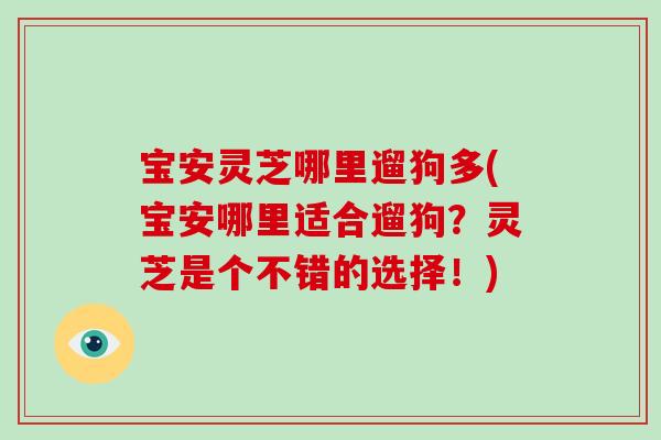 宝安灵芝哪里遛狗多(宝安哪里适合遛狗？灵芝是个不错的选择！)