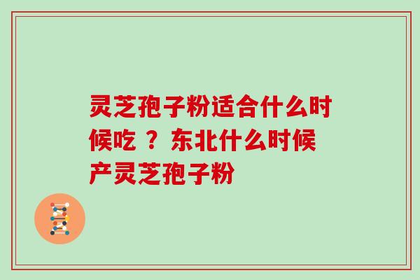 灵芝孢子粉适合什么时候吃 ？东北什么时候产灵芝孢子粉