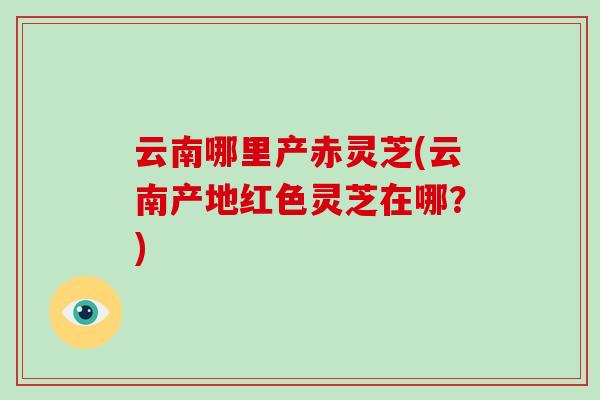 云南哪里产赤灵芝(云南产地红色灵芝在哪？)