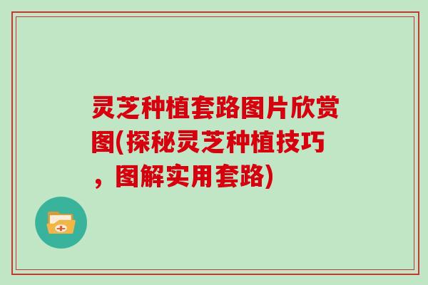 灵芝种植套路图片欣赏图(探秘灵芝种植技巧，图解实用套路)