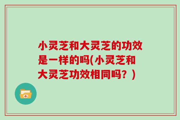 小灵芝和大灵芝的功效是一样的吗(小灵芝和大灵芝功效相同吗？)
