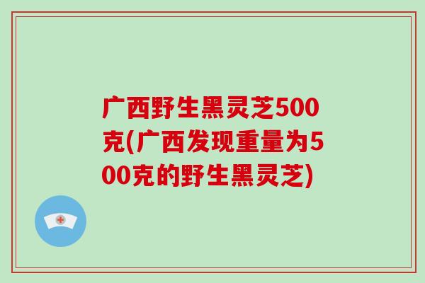 广西野生黑灵芝500克(广西发现重量为500克的野生黑灵芝)