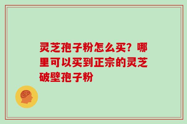 灵芝孢子粉怎么买？哪里可以买到正宗的灵芝破壁孢子粉