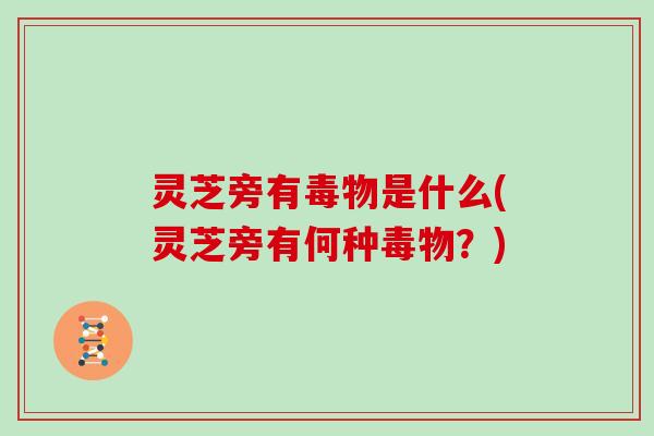 灵芝旁有毒物是什么(灵芝旁有何种毒物？)
