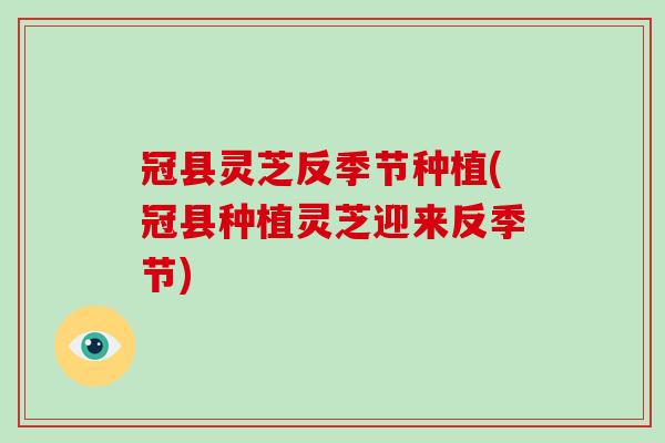 冠县灵芝反季节种植(冠县种植灵芝迎来反季节)