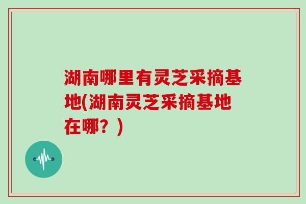 湖南哪里有灵芝采摘基地(湖南灵芝采摘基地在哪？)