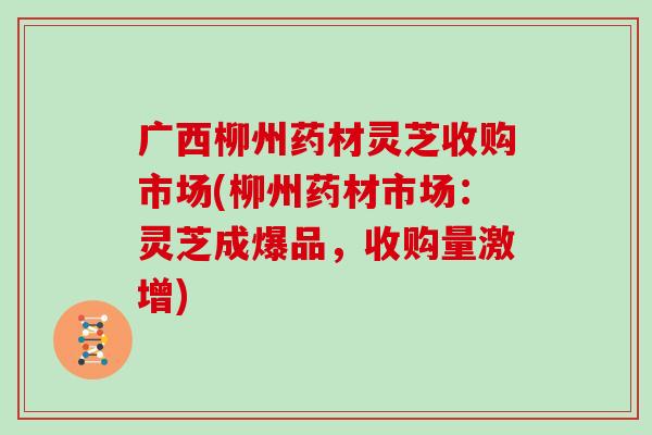 广西柳州药材灵芝收购市场(柳州药材市场：灵芝成爆品，收购量激增)