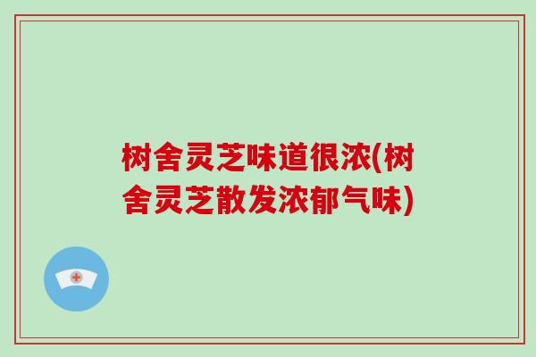 树舍灵芝味道很浓(树舍灵芝散发浓郁气味)