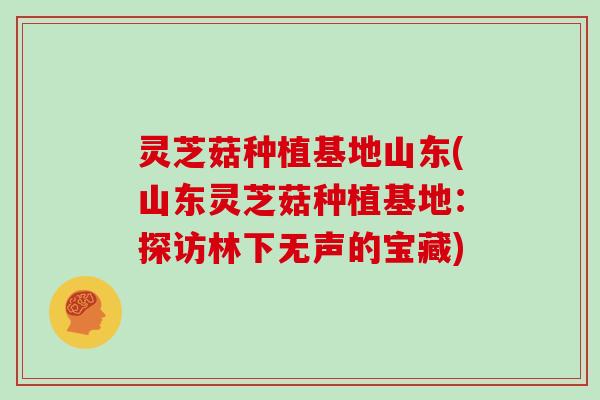 灵芝菇种植基地山东(山东灵芝菇种植基地：探访林下无声的宝藏)