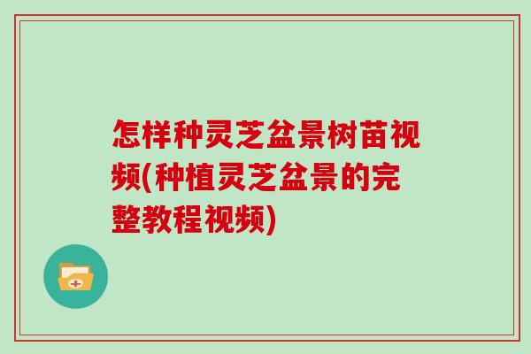 怎样种灵芝盆景树苗视频(种植灵芝盆景的完整教程视频)
