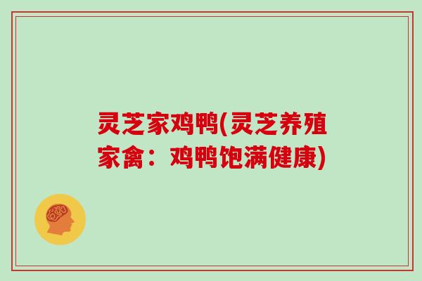 灵芝家鸡鸭(灵芝养殖家禽：鸡鸭饱满健康)