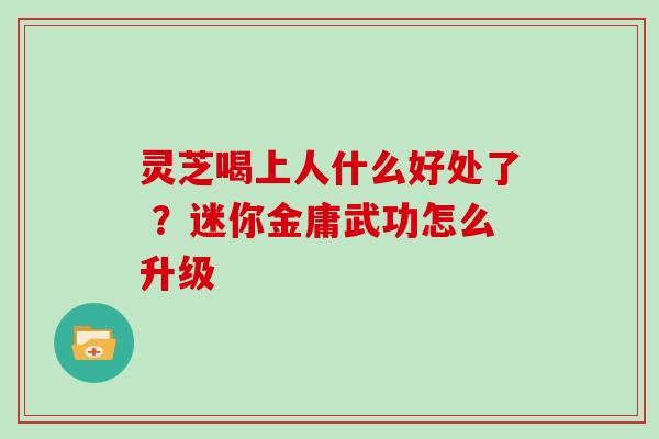 灵芝喝上人什么好处了 ？迷你金庸武功怎么升级
