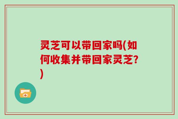 灵芝可以带回家吗(如何收集并带回家灵芝？)-第1张图片-灵芝大师