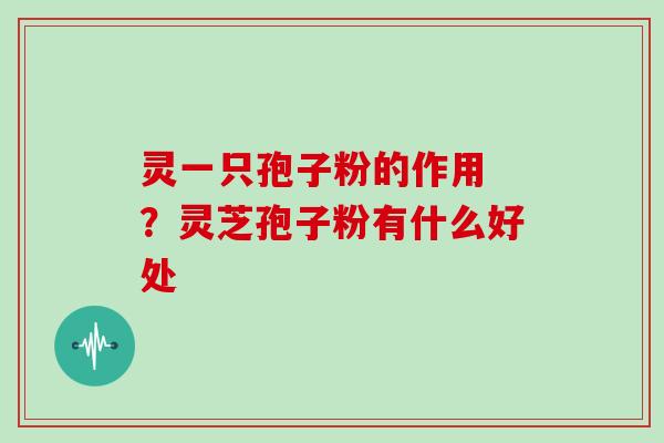 灵一只孢子粉的作用 ？灵芝孢子粉有什么好处