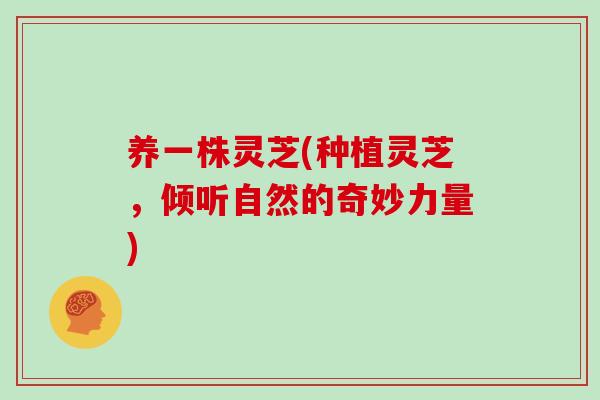 养一株灵芝(种植灵芝，倾听自然的奇妙力量)