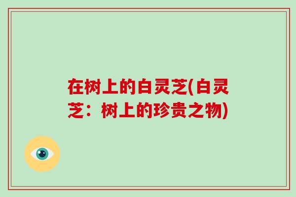 在树上的白灵芝(白灵芝:树上的珍贵之物)-第1张图片-灵芝大师 在树上的白灵芝(白灵芝:树上的珍贵之物)-第1张图片-灵芝大师
