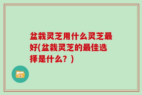 盆栽灵芝用什么灵芝最好(盆栽灵芝的最佳选择是什么？)