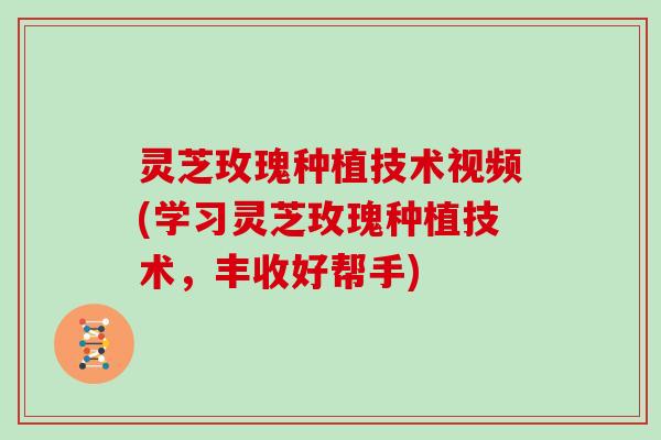 灵芝玫瑰种植技术视频(学习灵芝玫瑰种植技术，丰收好帮手)