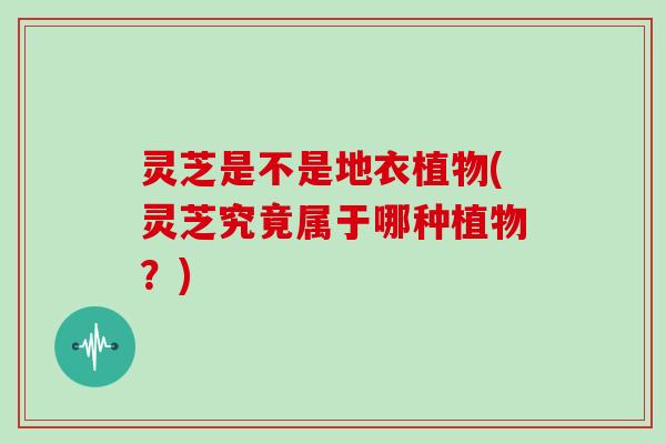 灵芝是不是地衣植物(灵芝究竟属于哪种植物？)