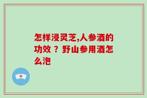 怎样浸灵芝,人参酒的功效 ？野山参用酒怎么泡