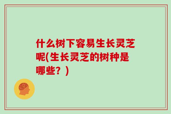 什么树下容易生长灵芝呢(生长灵芝的树种是哪些？)