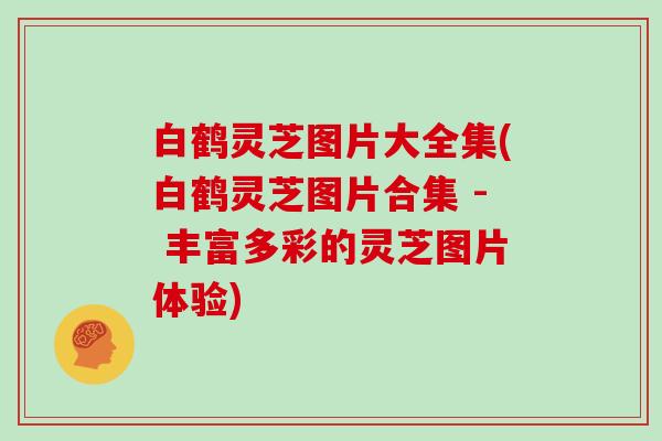 白鹤灵芝图片大全集(白鹤灵芝图片合集 - 丰富多彩的灵芝图片体验)-第1张图片-灵芝大师 白鹤灵芝图片大全集(白鹤灵芝图片合集 - 丰富多彩的灵芝图片体验)-第1张图片-灵芝大师