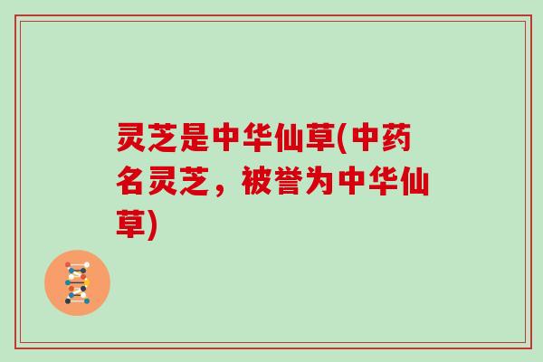 灵芝是中华仙草(中药名灵芝，被誉为中华仙草)