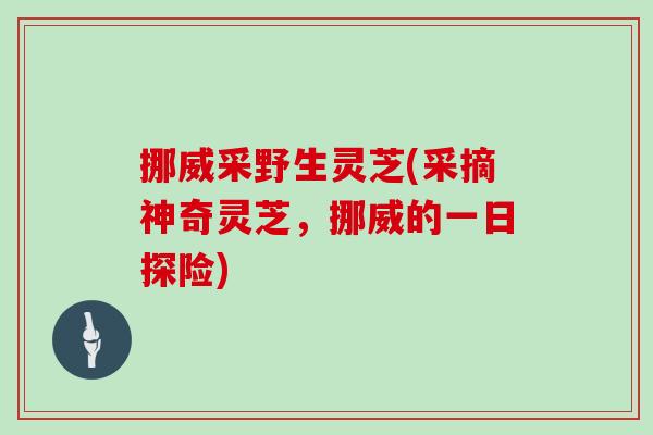 挪威采野生灵芝(采摘神奇灵芝，挪威的一日探险)