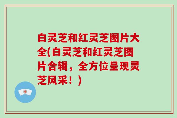 白灵芝和红灵芝图片大全(白灵芝和红灵芝图片合辑，全方位呈现灵芝风采！)