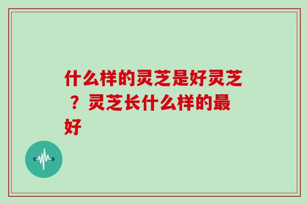 什么样的灵芝是好灵芝 ？灵芝长什么样的最好