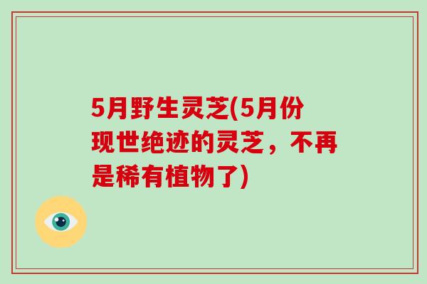 5月野生灵芝(5月份现世绝迹的灵芝，不再是稀有植物了)