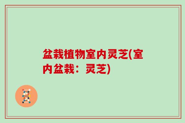 盆栽植物室内灵芝(室内盆栽：灵芝)