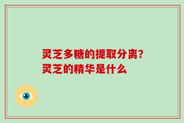 灵芝多糖的提取分离？灵芝的精华是什么