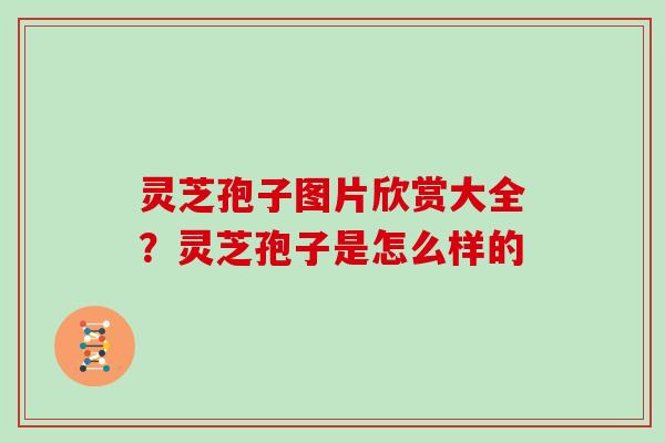 灵芝孢子图片欣赏大全？灵芝孢子是怎么样的