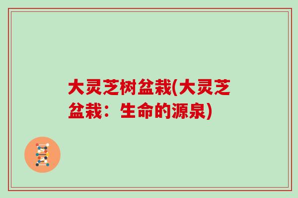大灵芝树盆栽(大灵芝盆栽：生命的源泉)