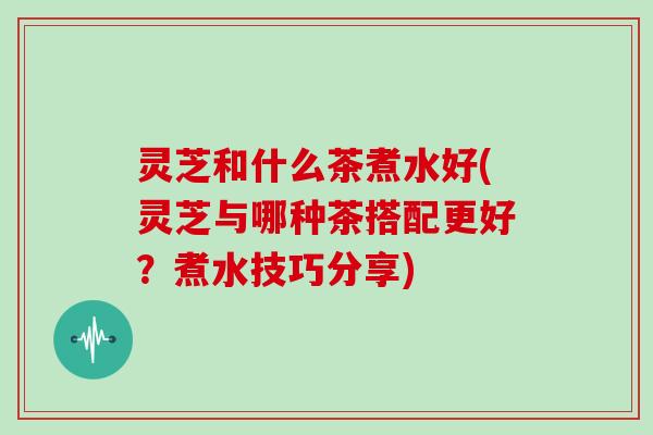 灵芝和什么茶煮水好(灵芝与哪种茶搭配更好？煮水技巧分享)