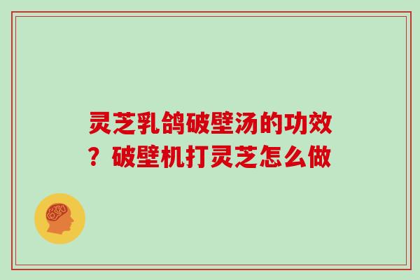 灵芝乳鸽破壁汤的功效？破壁机打灵芝怎么做