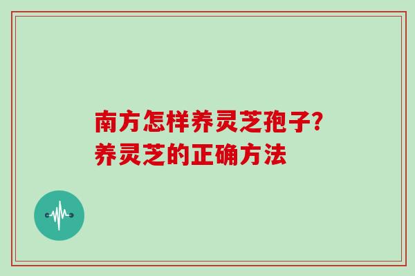 南方怎样养灵芝孢子？养灵芝的正确方法