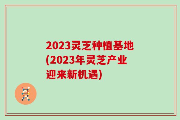 2023灵芝种植基地(2023年灵芝产业迎来新机遇)
