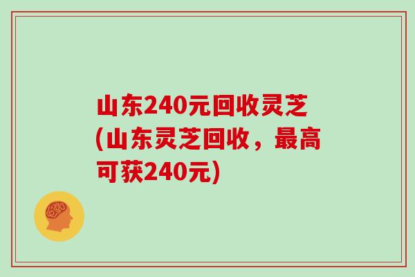 山东240元回收灵芝(山东灵芝回收，最高可获240元)