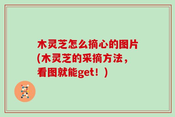 木灵芝怎么摘心的图片(木灵芝的采摘方法，看图就能get！)