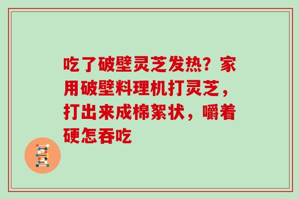 吃了破壁灵芝发热？家用破壁料理机打灵芝，打出来成棉絮状，嚼着硬怎吞吃