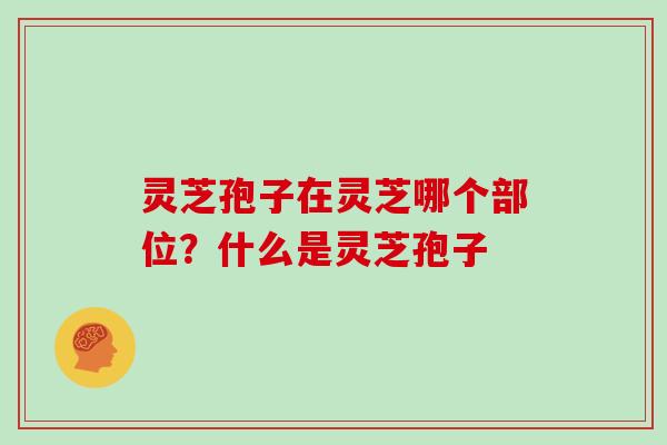 灵芝孢子在灵芝哪个部位？什么是灵芝孢子
