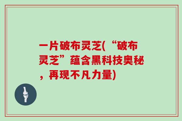 一片破布灵芝(“破布灵芝”蕴含黑科技奥秘，再现不凡力量)
