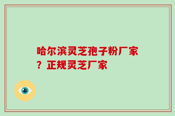 哈尔滨灵芝孢子粉厂家？正规灵芝厂家
