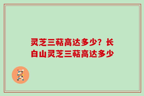 灵芝三萜高达多少？长白山灵芝三萜高达多少