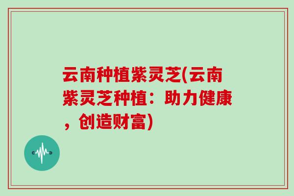 云南种植紫灵芝(云南紫灵芝种植：助力健康，创造财富)